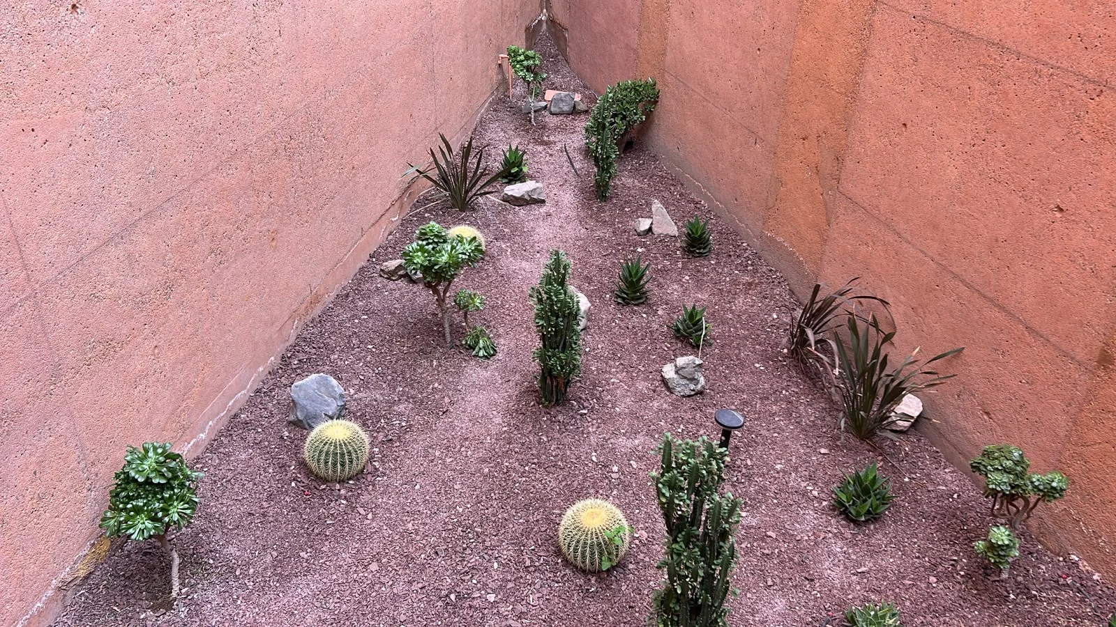 Jardín de bajo requerimiento hídrico